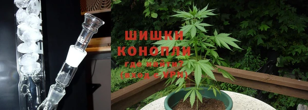 не бодяженный Белокуриха