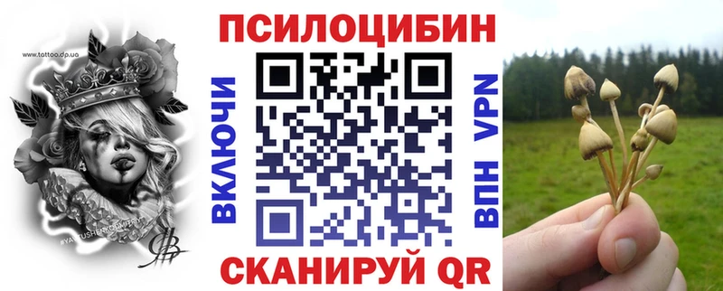хочу   Теберда  Галлюциногенные грибы GOLDEN TEACHER 